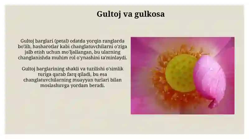 Gul tuzilishi va changlanish 3