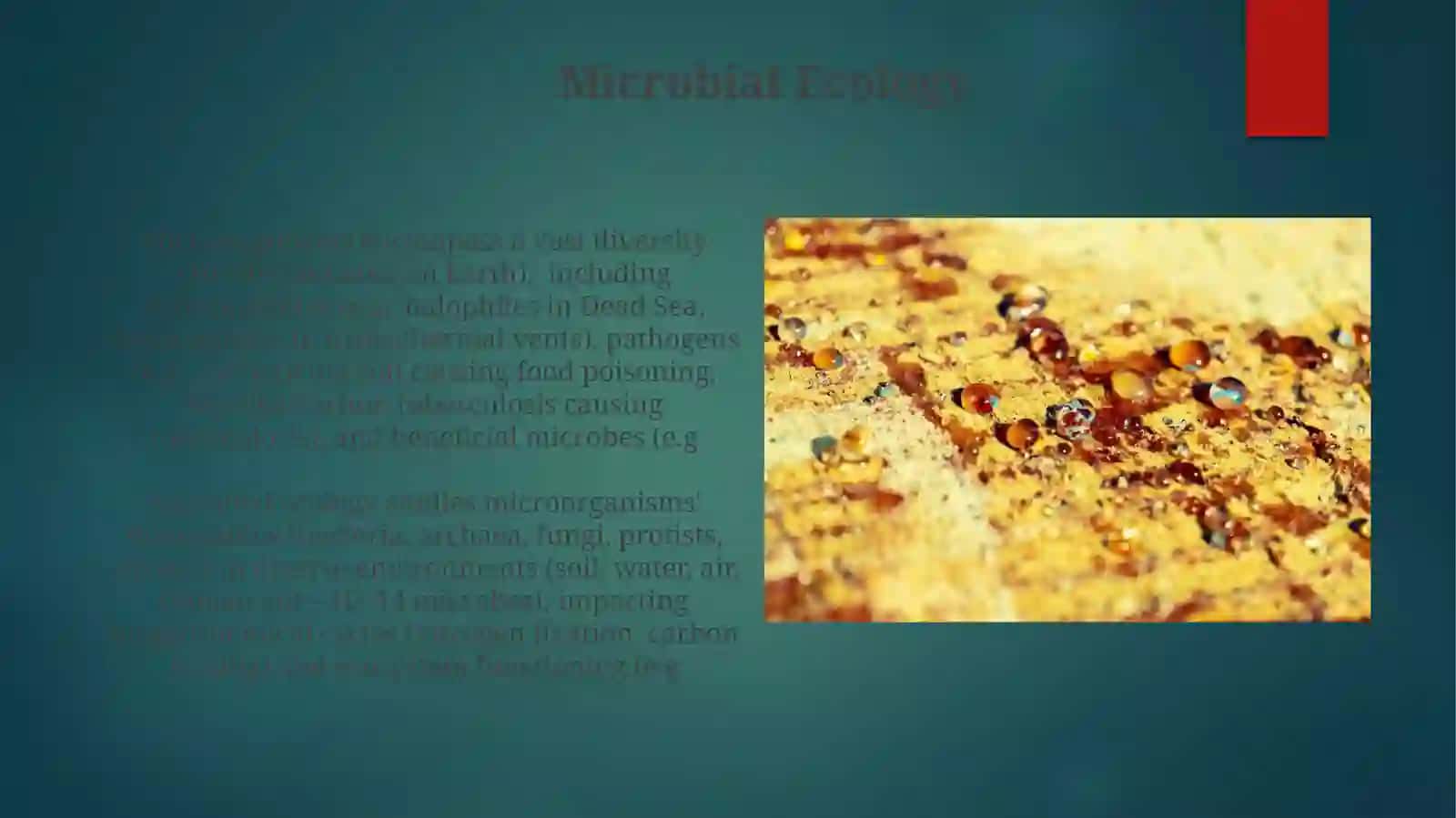 Microbial Ecology 3
