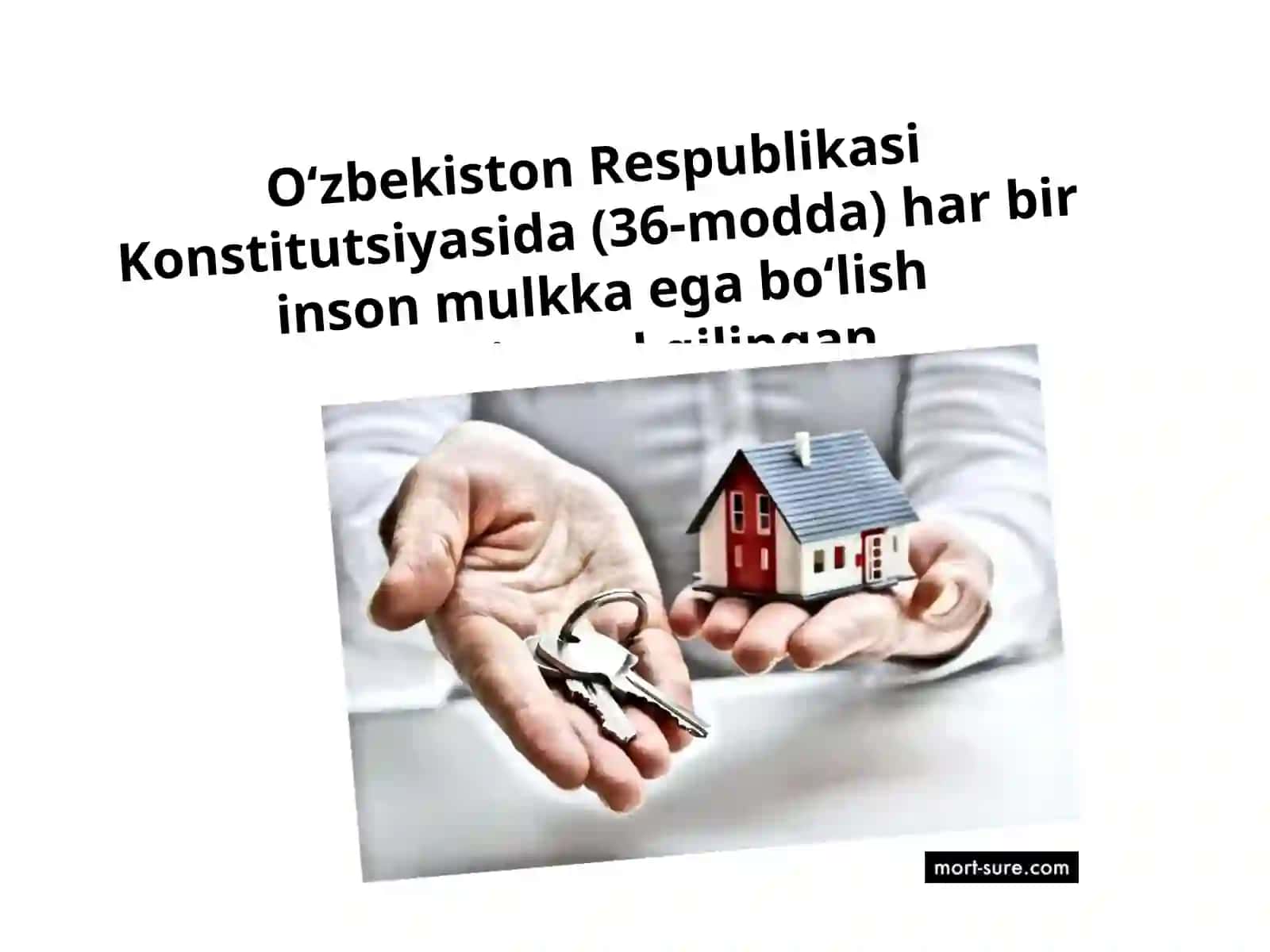 Mulkhuquqivaboshqaashyoviyhuquqlar 3