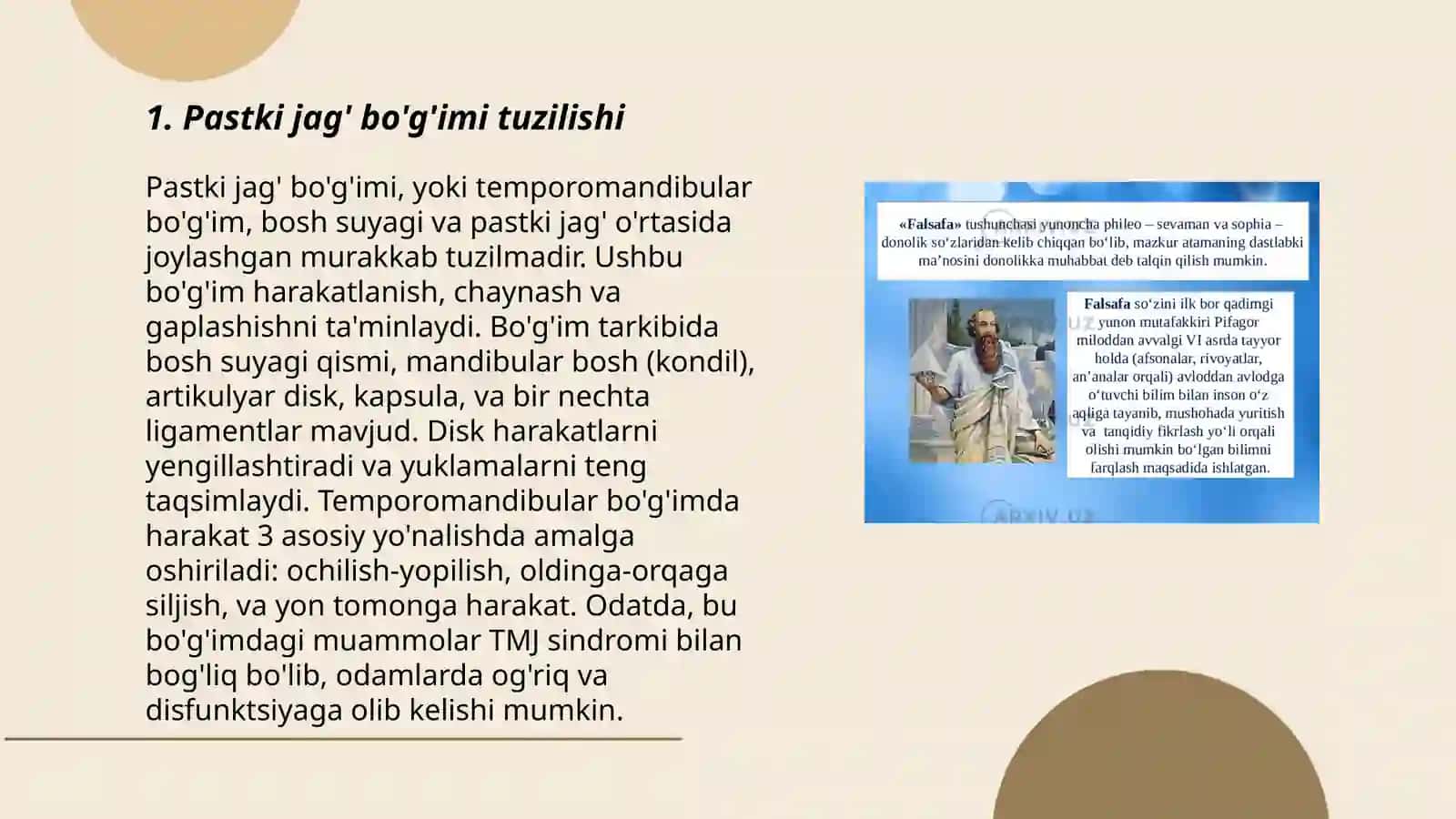 Pastki jag' bo'g'imi tuzilishi 3