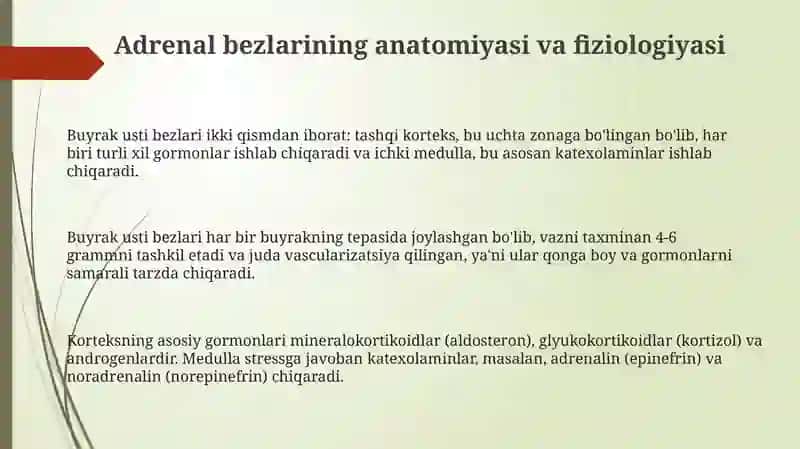 Buyrakostibezlari 3