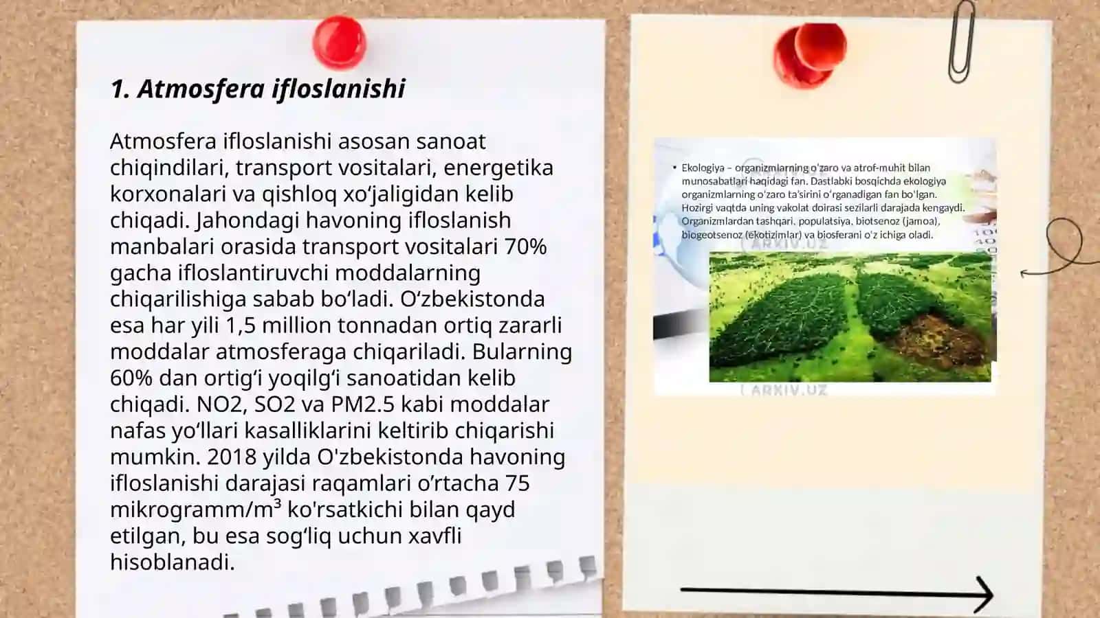 Hozirgi zamon ekologik muommolari 3