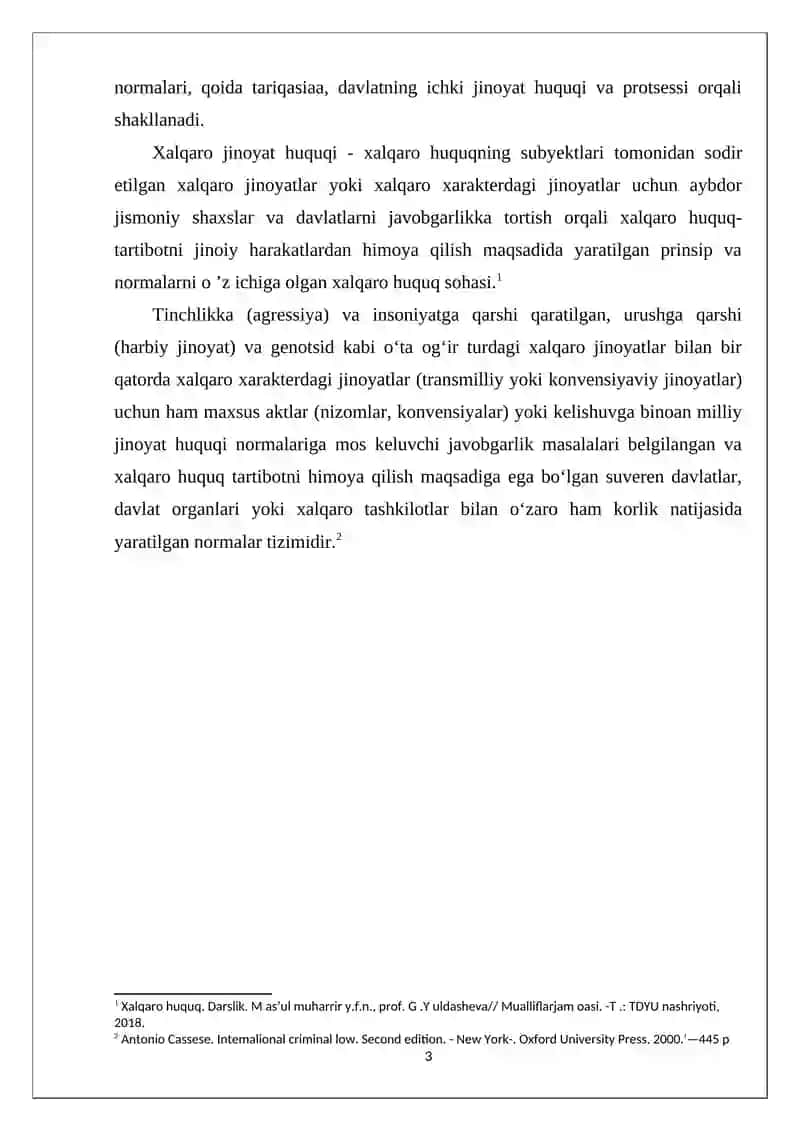 Xalqaro jinoyat huquqi 3