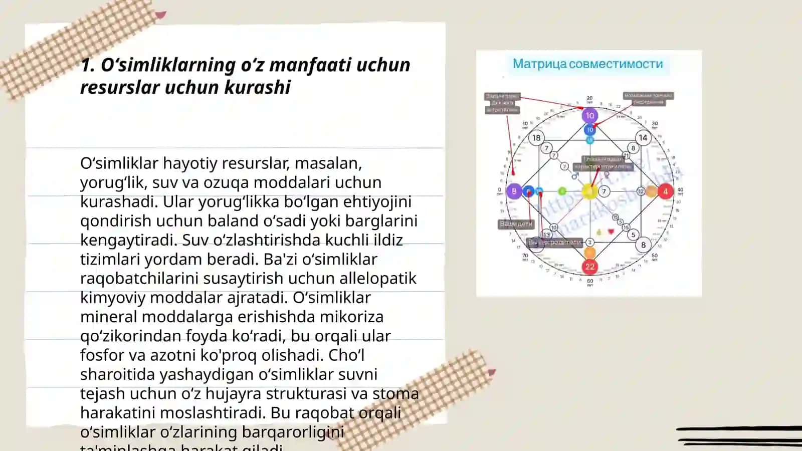 Oʻsimlik egosentrizmi 3