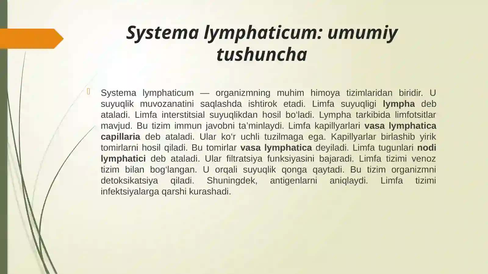 Bosh va bo’yin sohasi limfa tizimi. 3