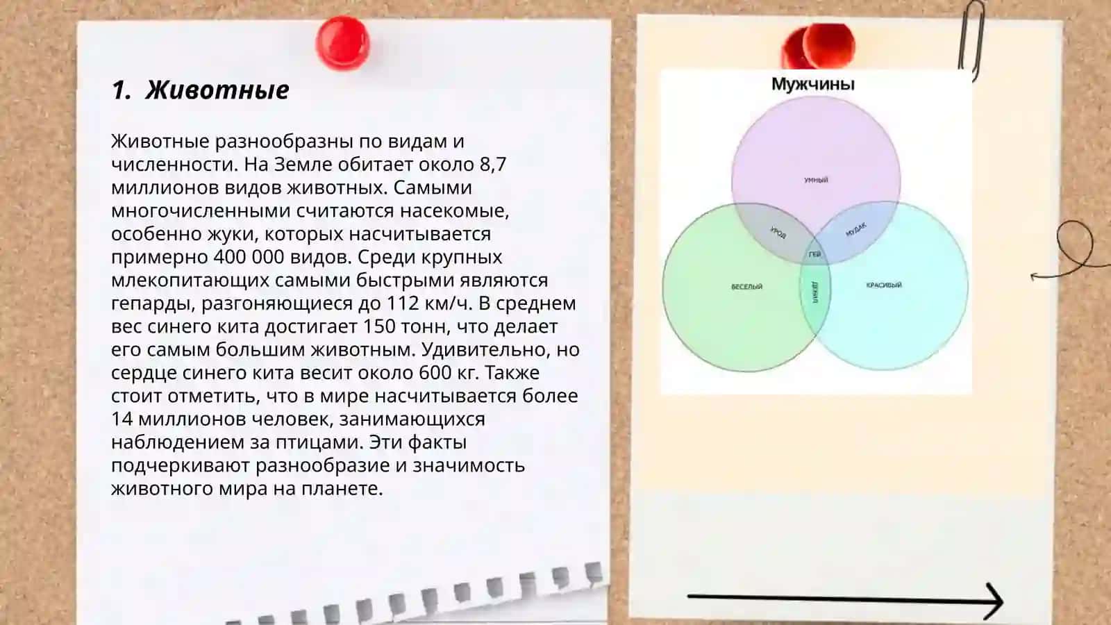 Животные 3