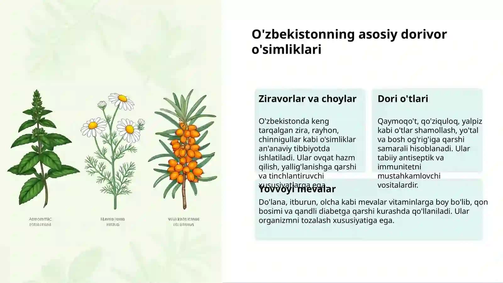 Tabiatning Sog'liq Xazinasi 3