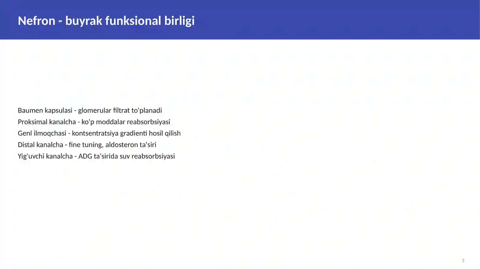 Buyrak Biokimyosi 3