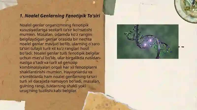Noalel genlarning oʻzaro taʼsiri pleyotropiya 3