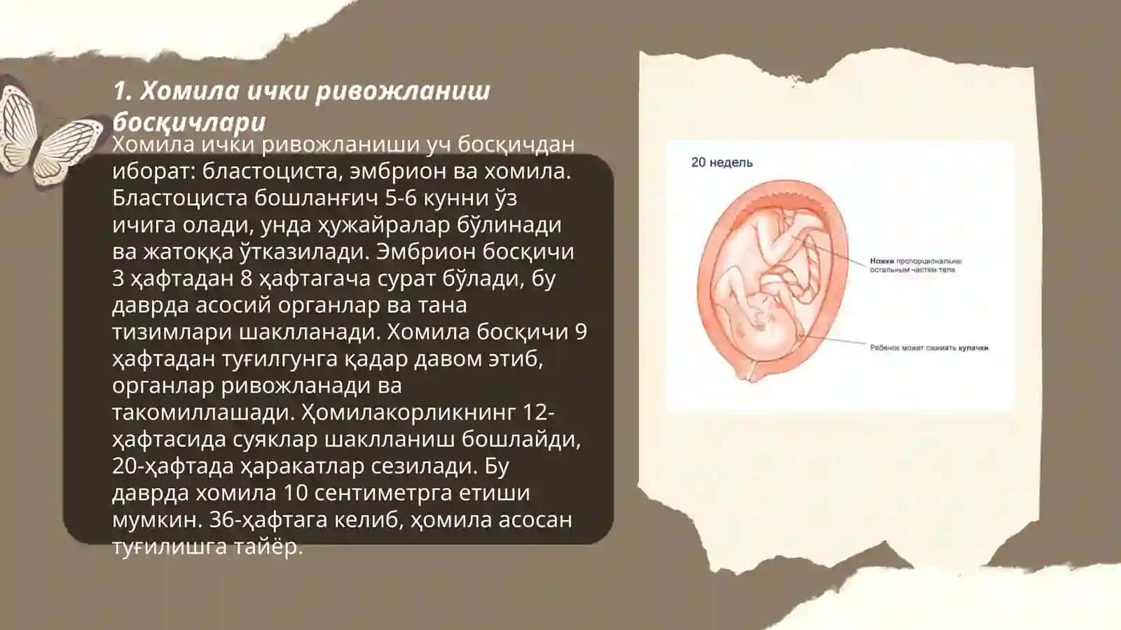Хомиладорликнинг триместрлари 3