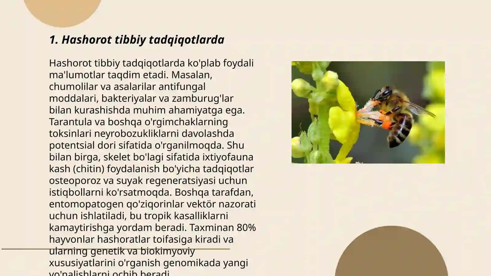 Hashorotlarning Tibbiyotdagi Ahamiyati 3