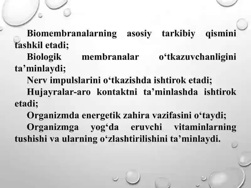 Lipidlar almashinuvi 3