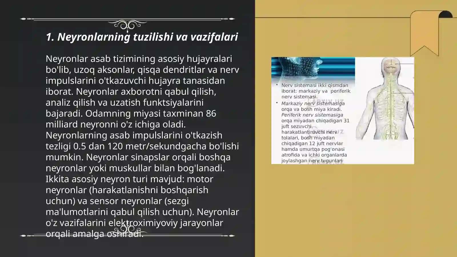 Nerv fizologiyasi 3