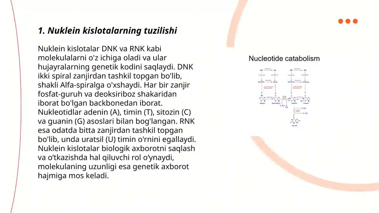 Nuklein kislotalarning fermentativ parchalanishi.Purin va pirimidin nukleotidlarining katabolizmi 3