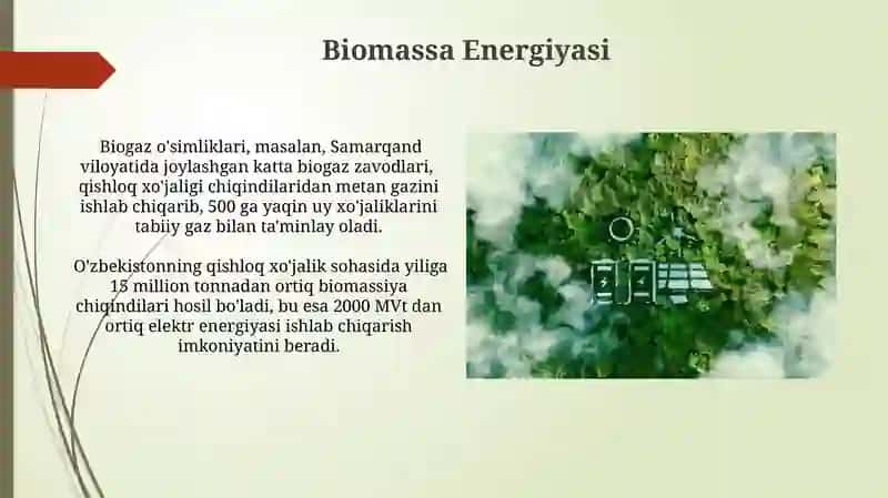 Biomassa Energiyasi 3