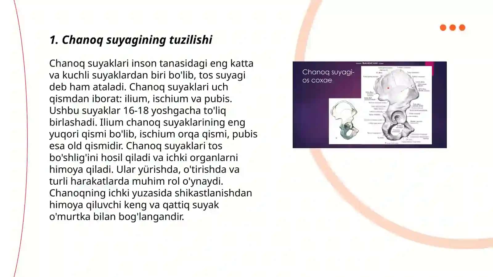 Chanoq suyagi 3