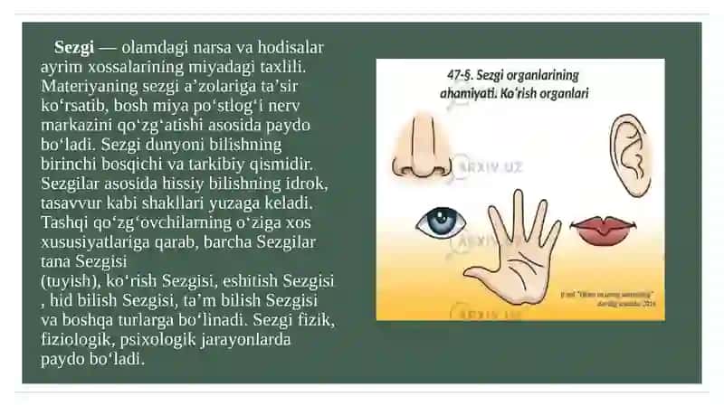 Sezgi va idrokning psixologik mohiyati 3
