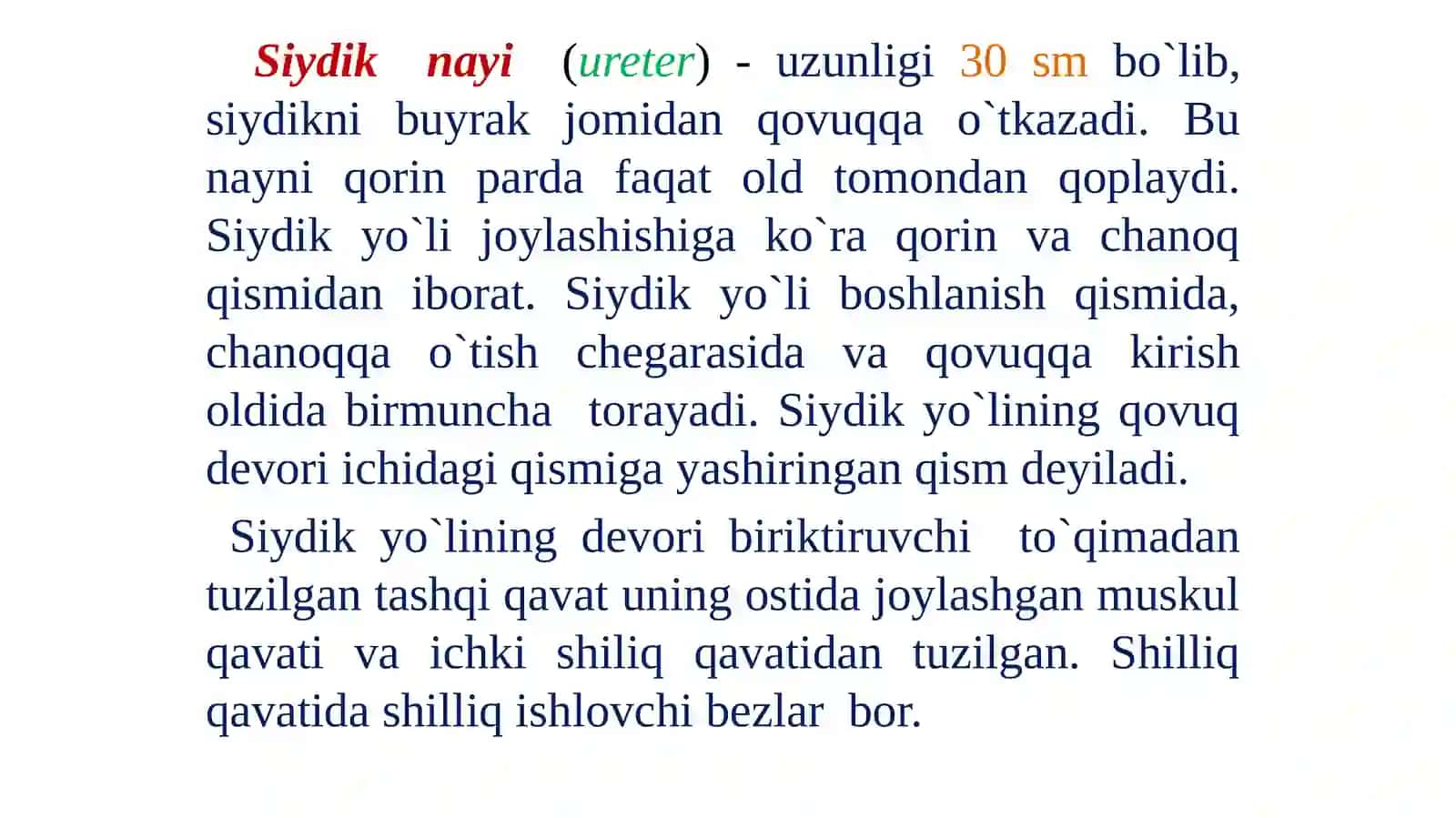Siydik qovuqlarining uzunligi 3