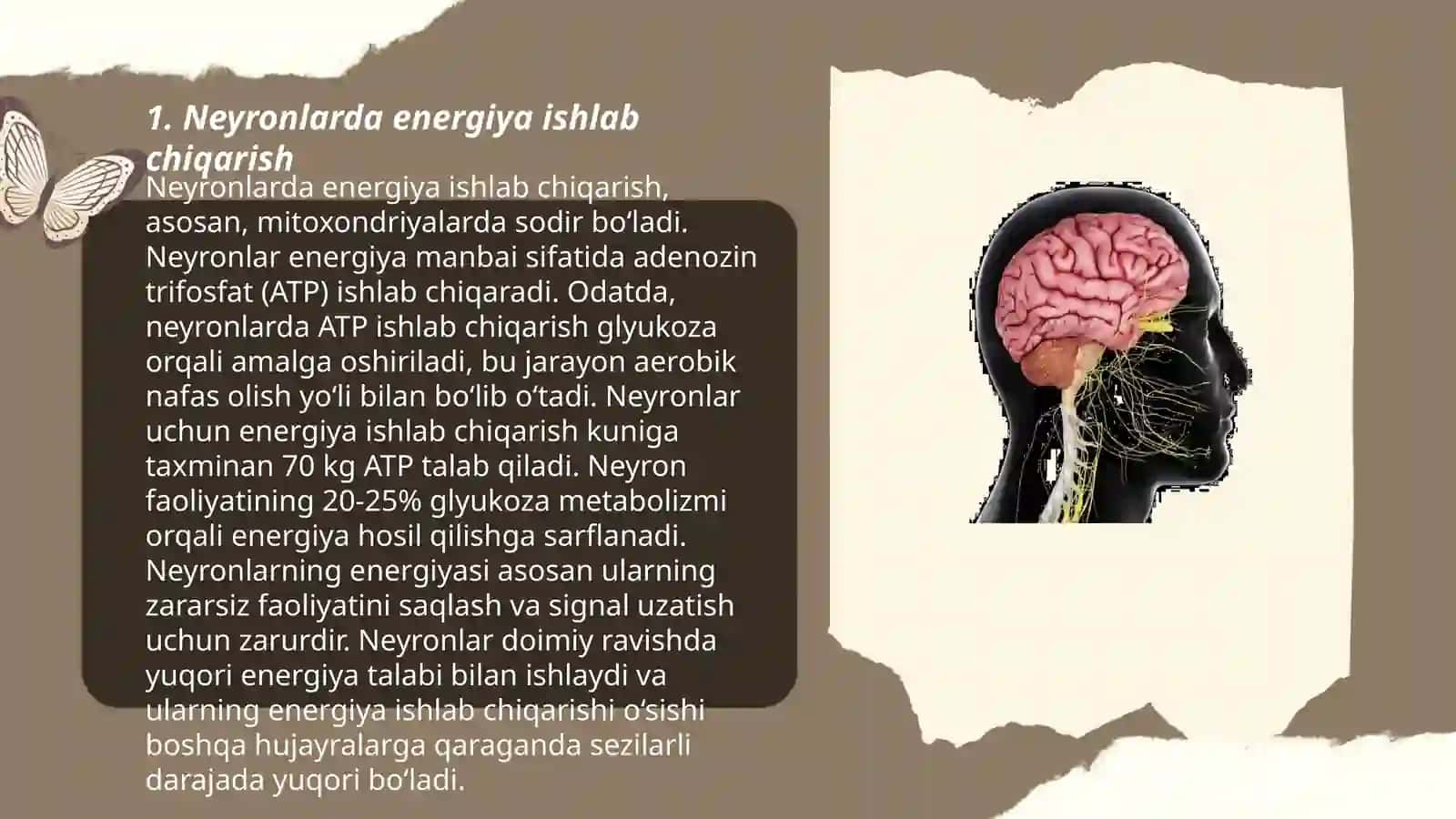 Neyronlarda energetika ishlab chiqarish 3