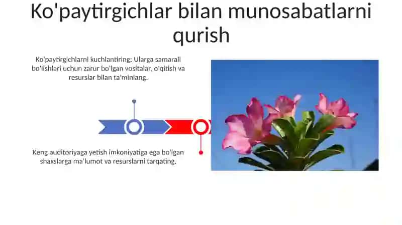 Kôphadlarni kôpaytuvchilarga ajratish 3