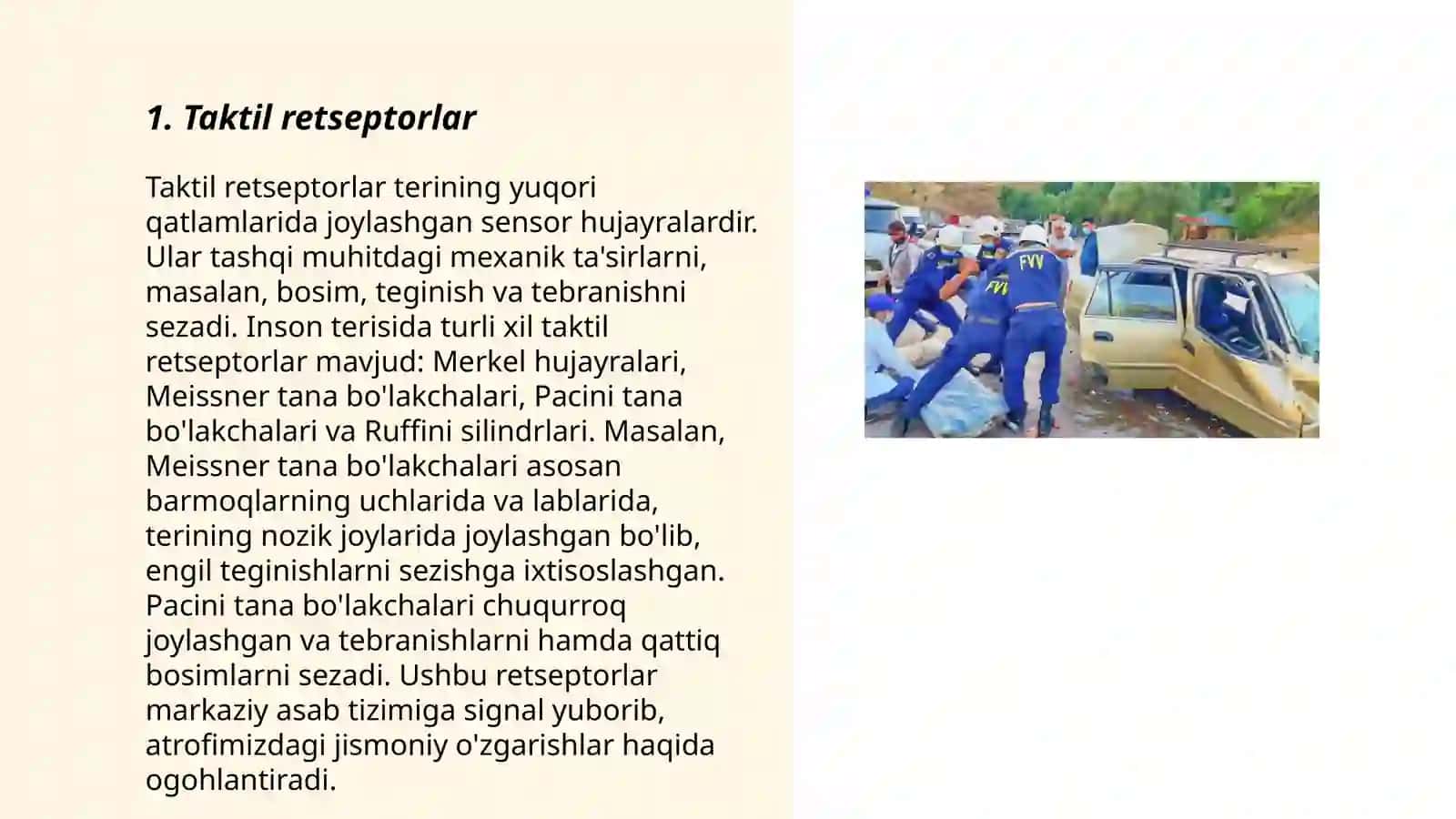 Taktil va harorat retsepsiyasi 3