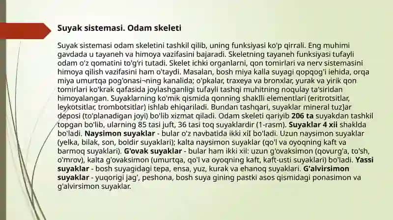 Skelet va uning boylamlari 3