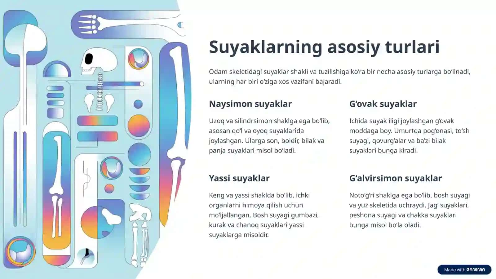 Suyaklarning turlari va vazifasi 3