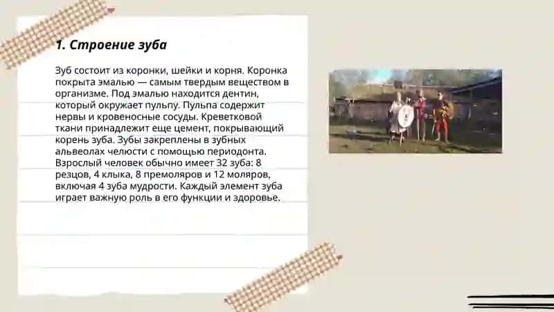 Введение в анатомию зуба 3