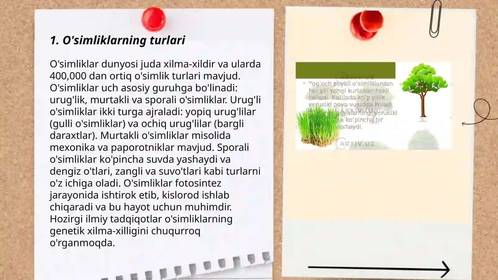O'simliklarning xilma-xilligi 3