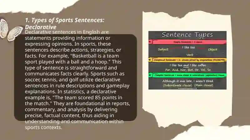 Types of Sports Sentences 3