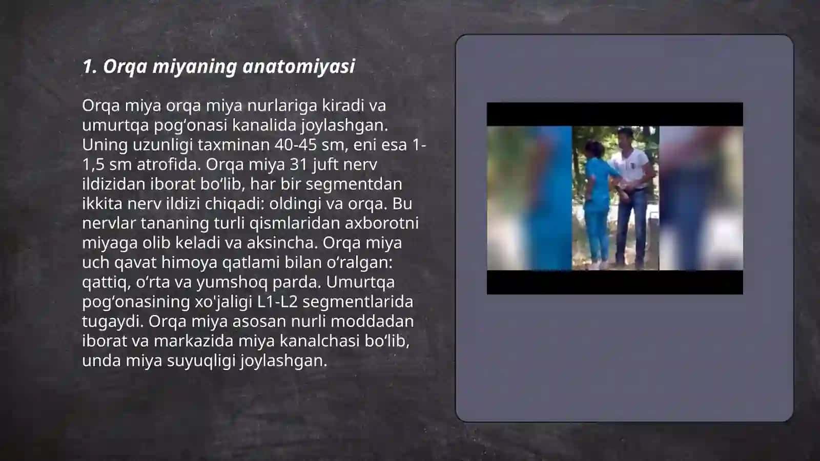 Orqa miyaning o'tkazuvchi yo'llarini o'rganish 3