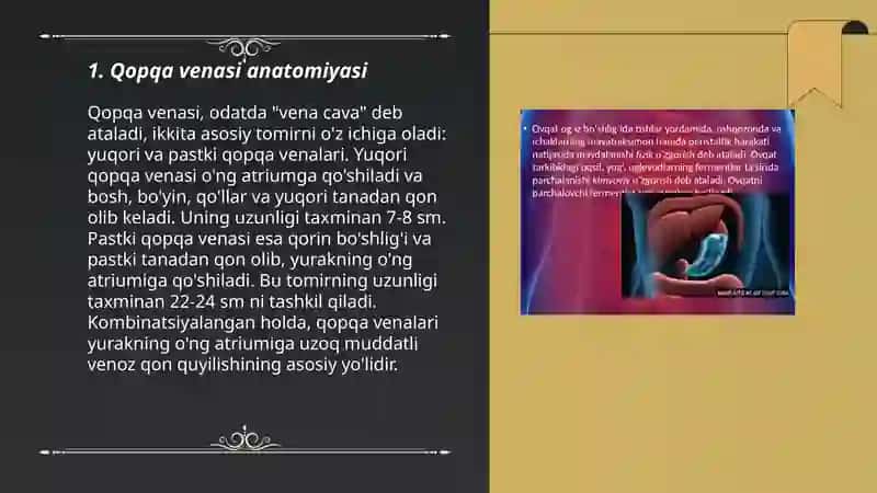 Qopqa venasi anatomiyasi 3