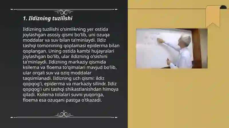 Ildiz, poya va barg metamarfozi 3