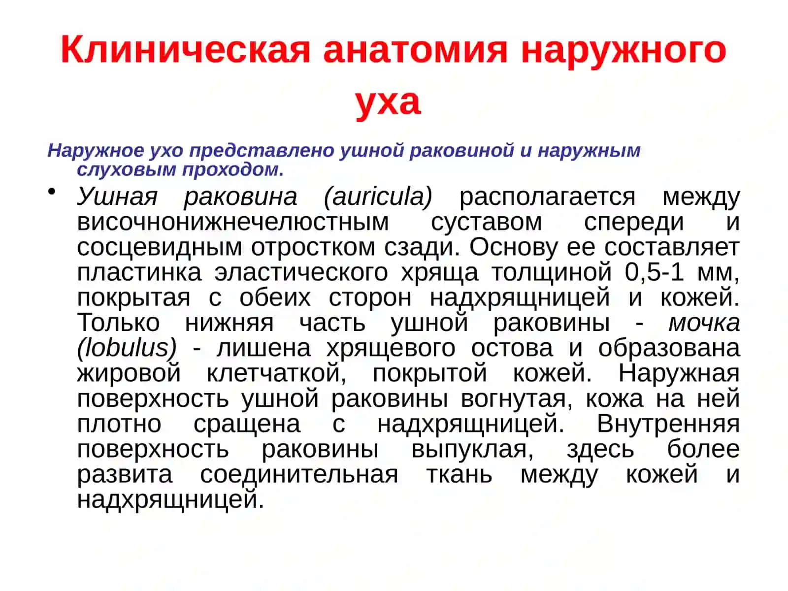Эмбриогенез структур слухового анализатора 3