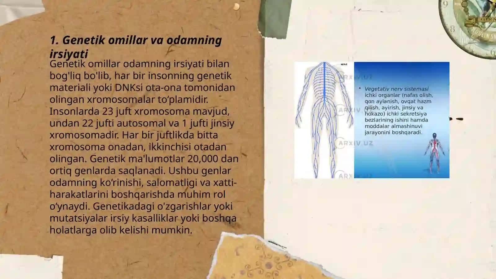 Odamning oʻsish va rivojlanish qonuniyatlari 3