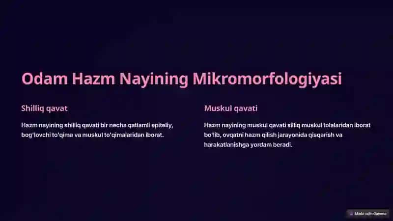 Limfoid To'qimalarning Tuzilishi 3