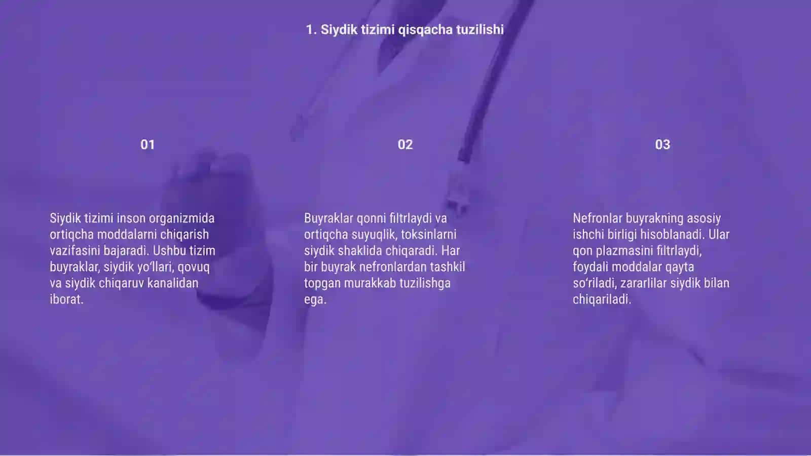 Siydik hosil bolish mexanizmi 3