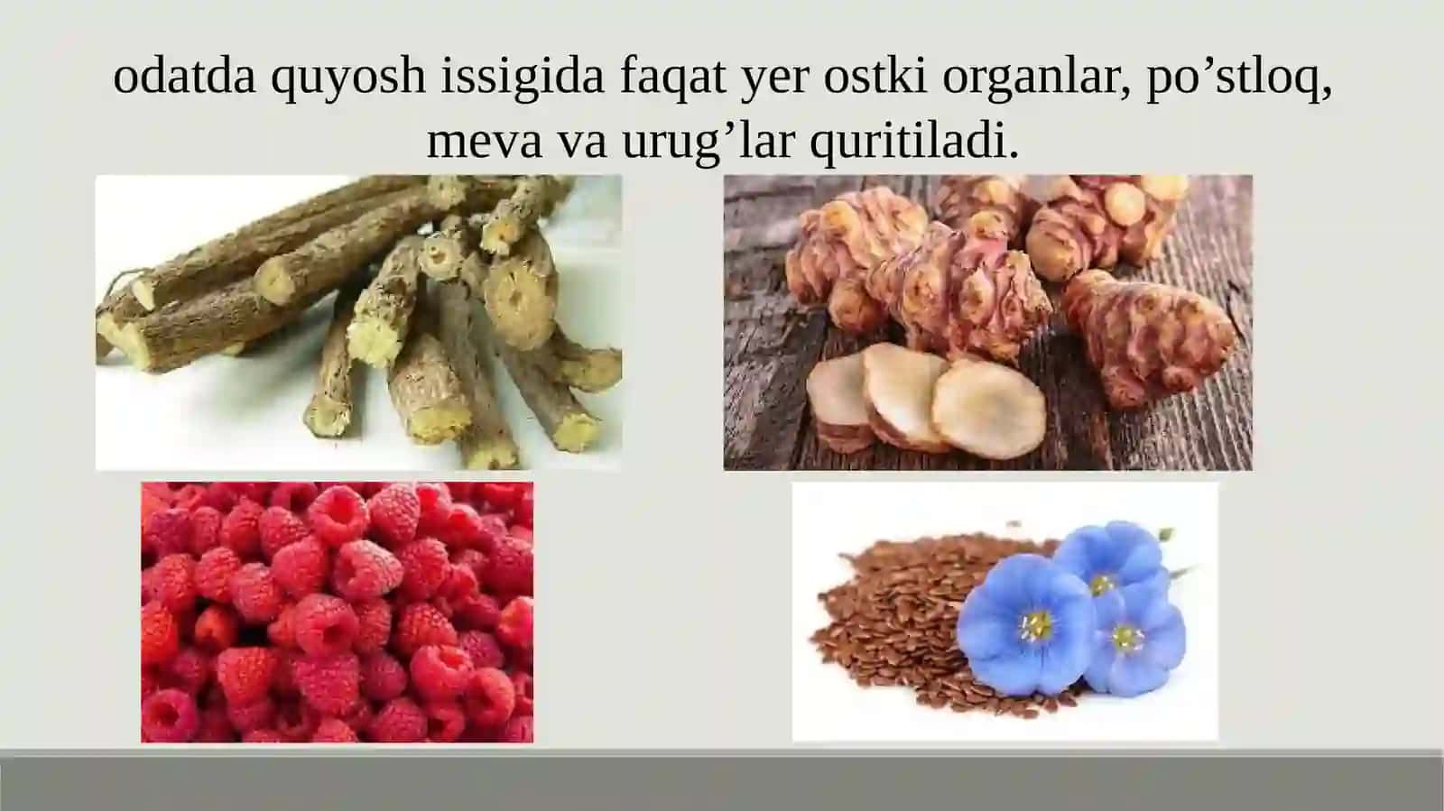DORIVOR O’SIMLIKLAR XOM ASHYOSINI QURITISH USULLARI 3