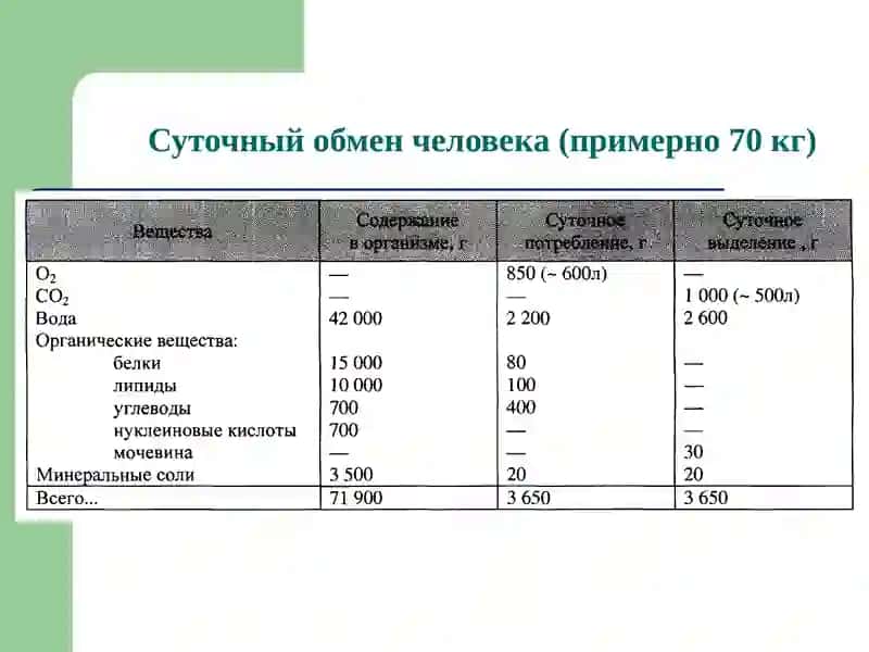 БИОЛОГИЧЕСКИЕМЕМБРАНЫ 3