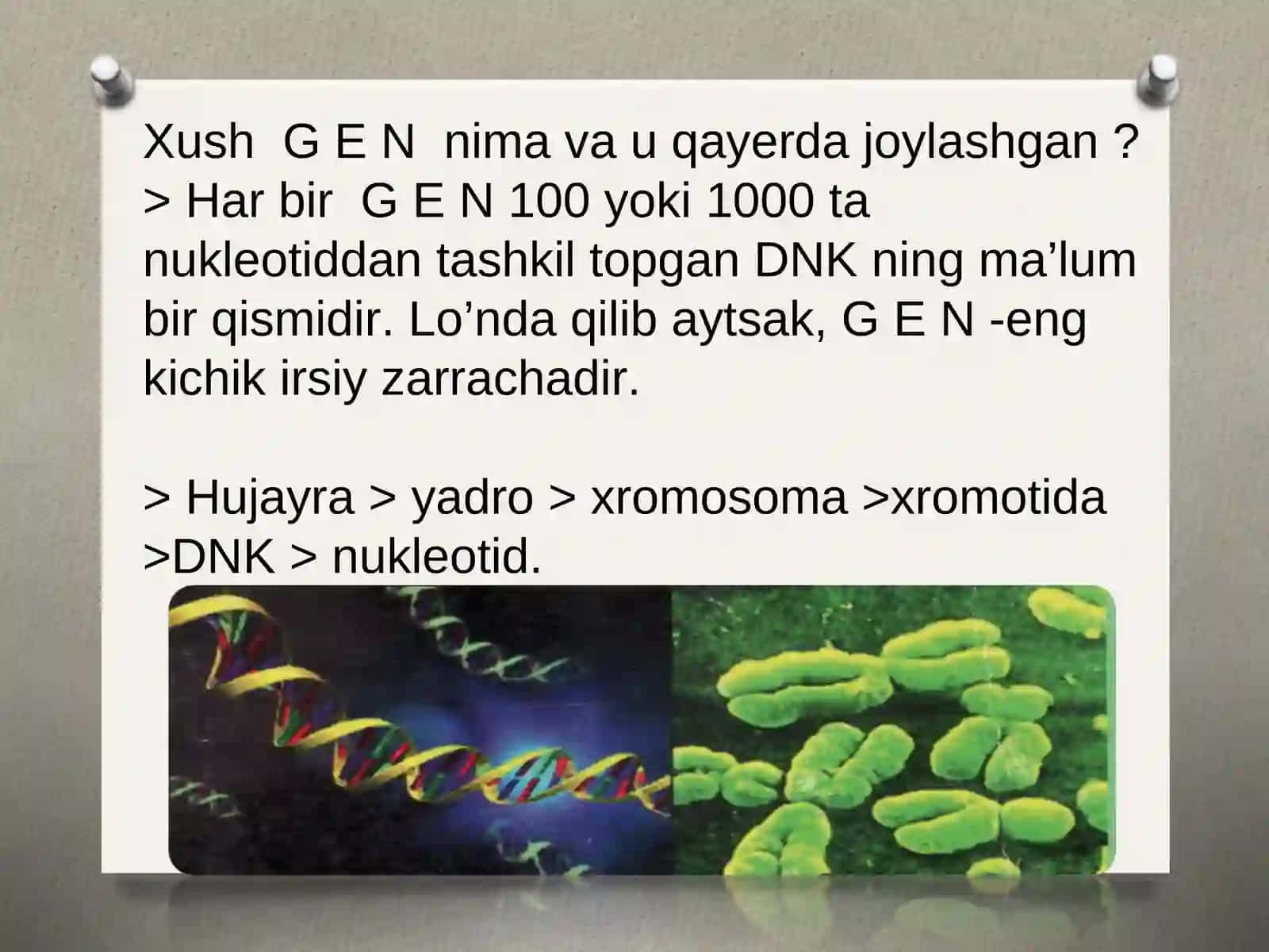 Odamdagi irsiy kasalliklar 3
