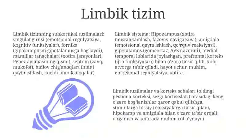 Limbik tizimning tuzulishi 3