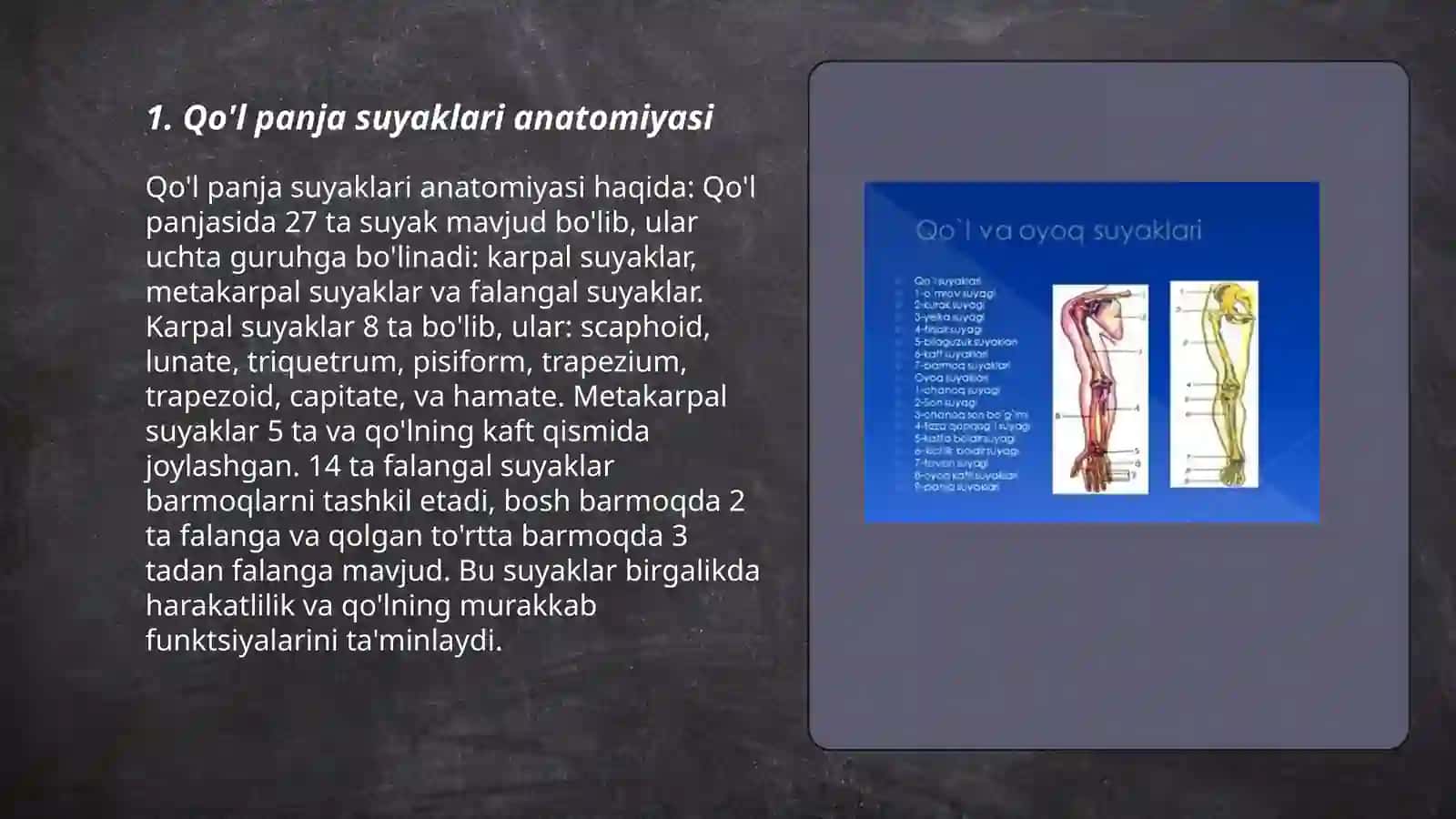 Qo'l panja suyaklari anatomiyasi 3