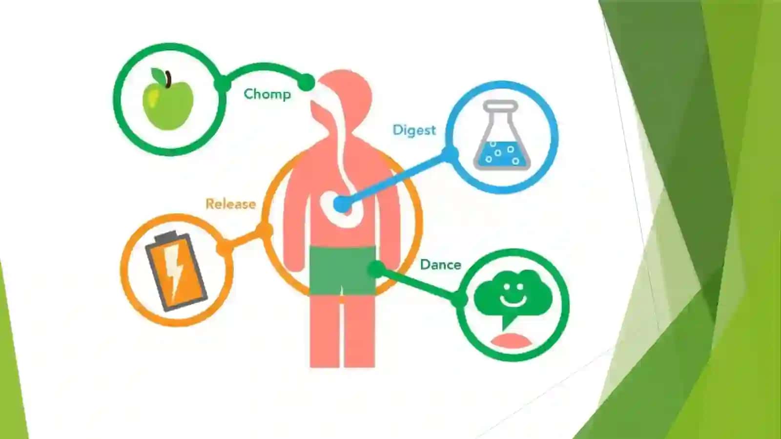 Katabolikmetabolizm 3