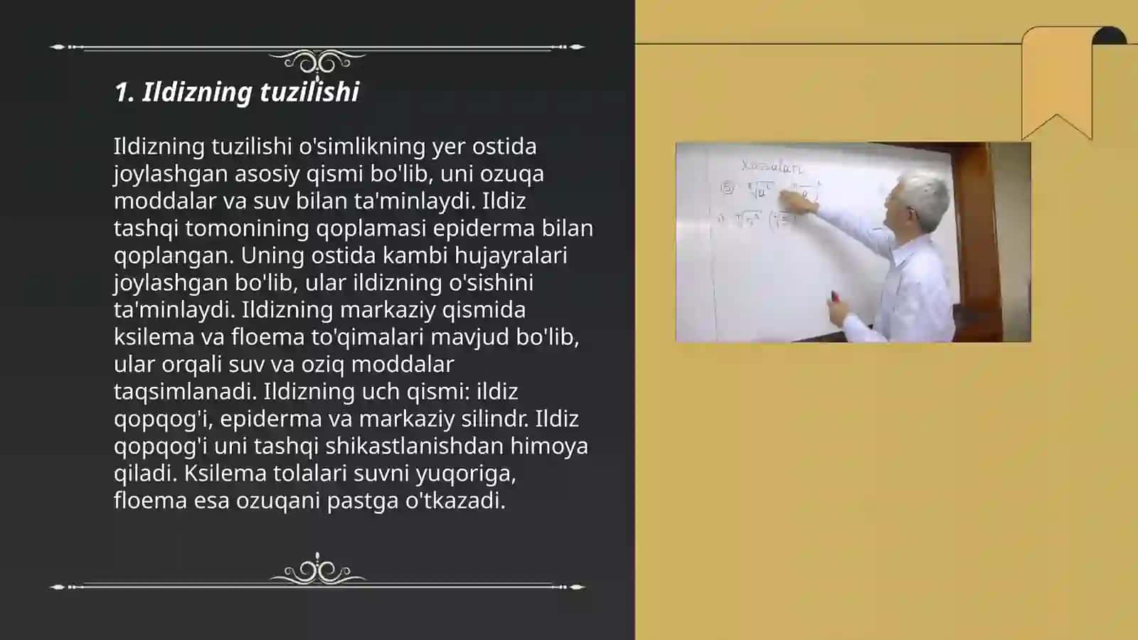 Ildiz, poya va barg metamarfozi 3