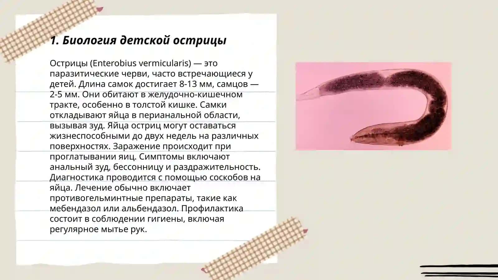 Детская острица 3