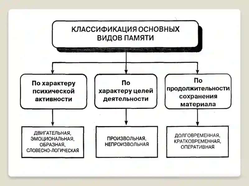 Виды памяти и их характеристика 3