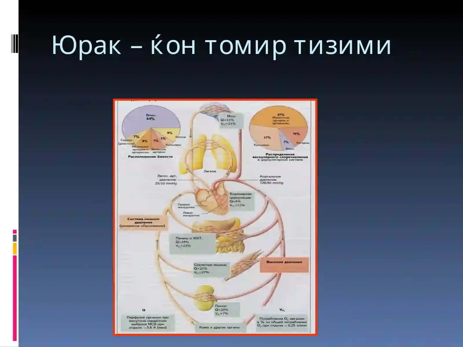 Томирлар тизими патофизиологияси 3