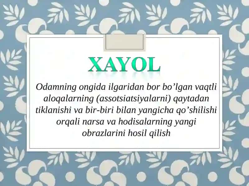 Xayol 3