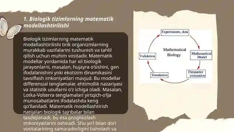 Biologik modellarga doir masalalar 3