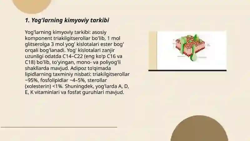 Biokimyo va molekulyar biologiya 3